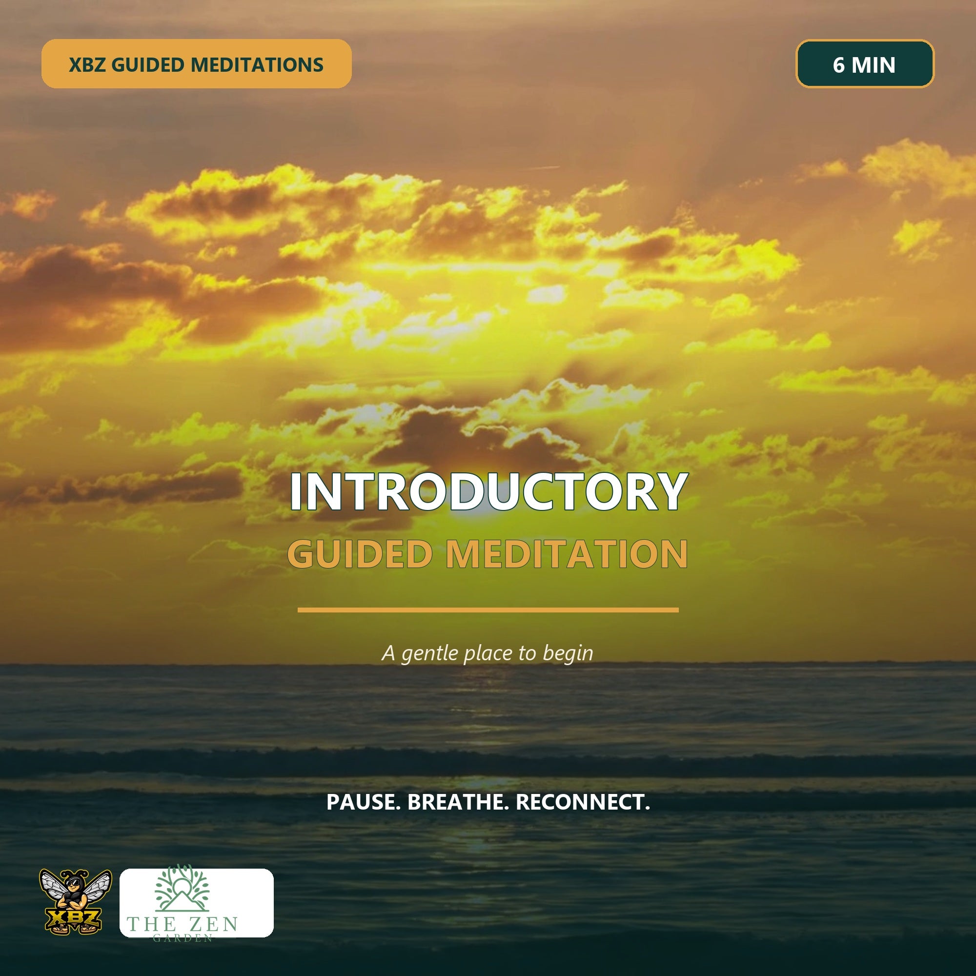 Welcoming, tranquil meditation setting designed for beginners learning to relax and become present.